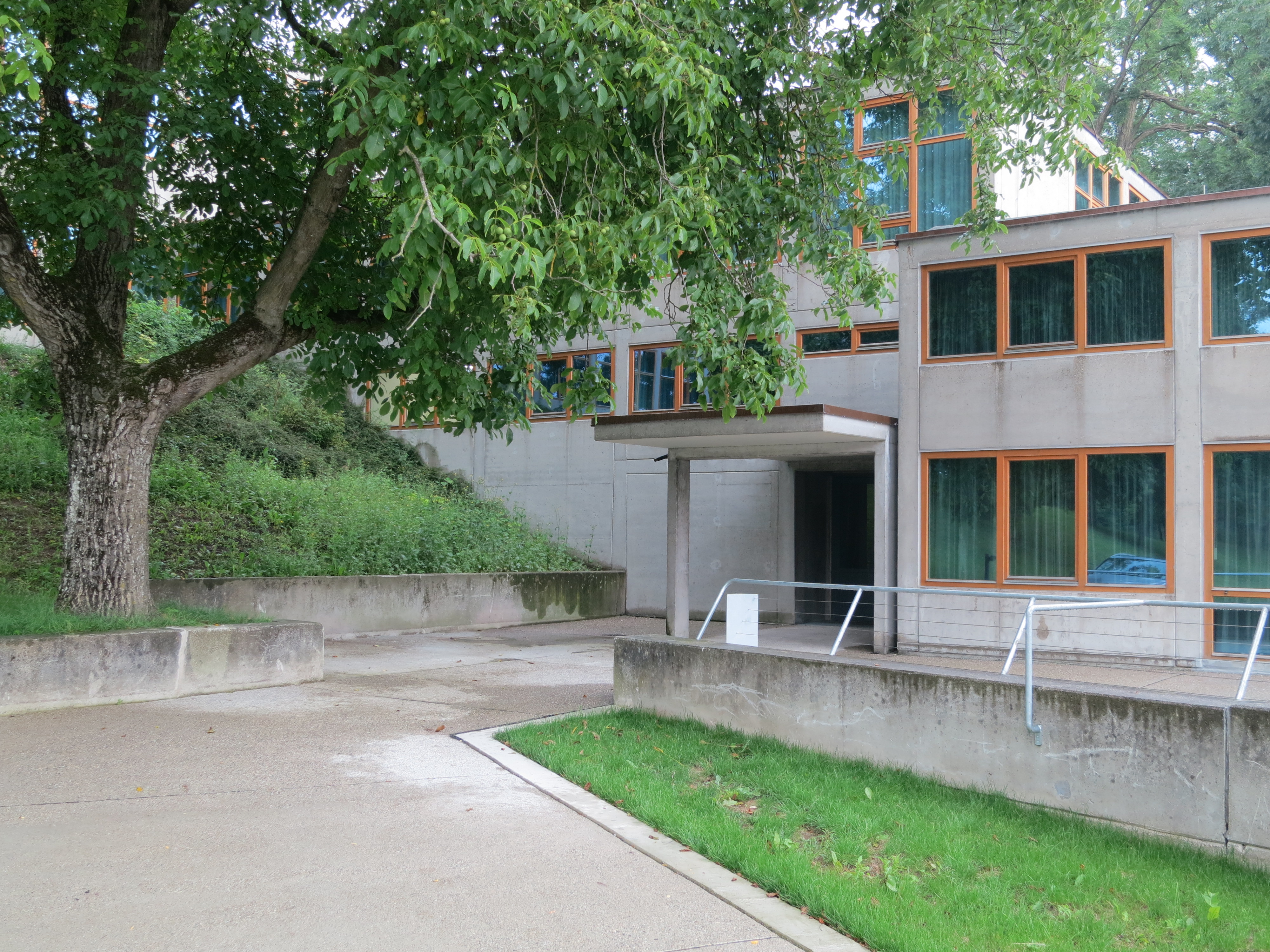 The concrete HfG Ulm building with timber-framed windows on its hillside site, a tree in front of the entrance.